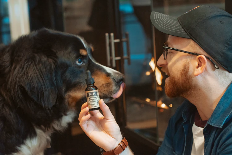 The Effectiveness Of CBD Oil For Pets